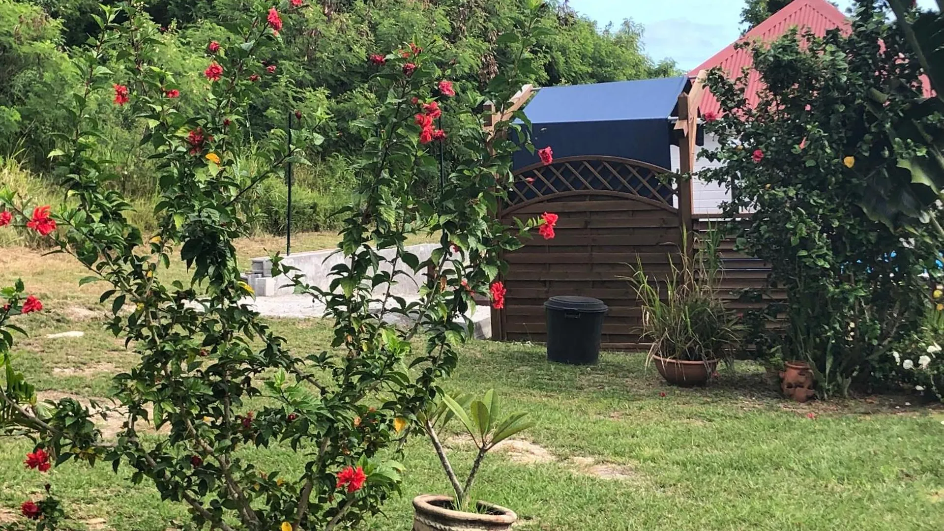 Chalet Aichi'S Lodges -Gites Capesterre Guadeloupe